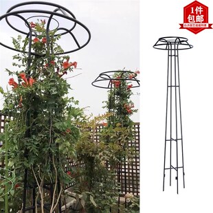 蘑菇爬藤架园艺花架庭院花园伞型铁艺爬藤花架铁线莲蓝雪花素馨花