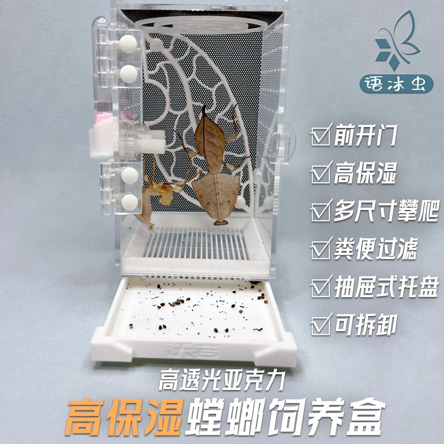语冰虫螳螂昆虫专业观察饲养殖盒攀爬网架高保湿鸣虫爬箱《沃若》