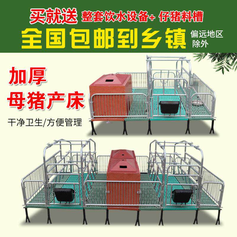 母猪产床保育床一体加厚热镀锌单双体产保两用养殖猪场猪用分娩床