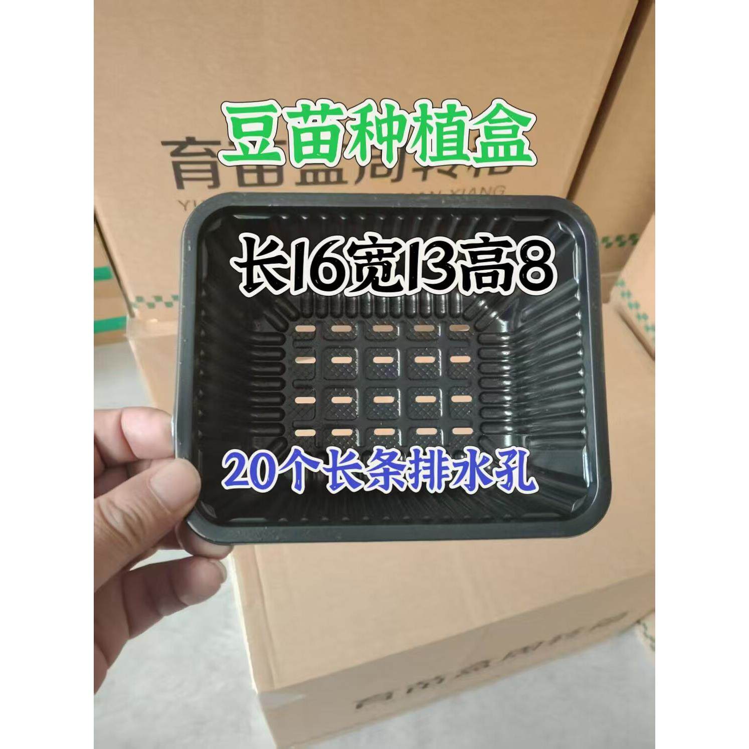 芽苗菜水培豌豆苗香椿苗一次性塑料种植包装盒育苗盘带孔打包盒