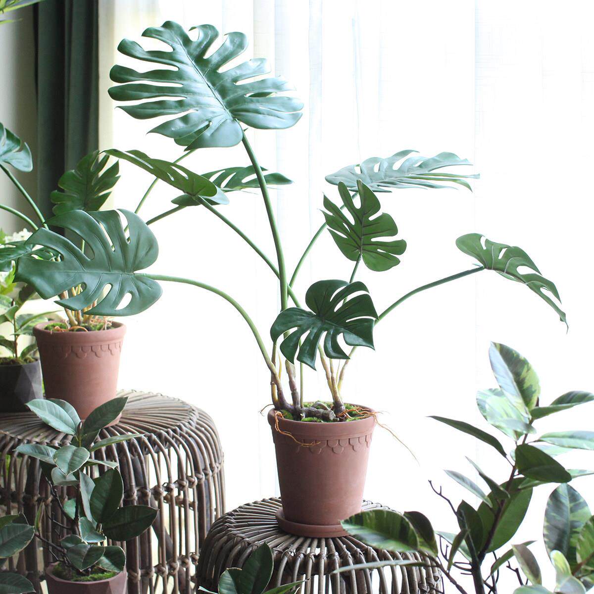 西西里新品 彷真绿色植物橡皮叶 龟背叶桌面盆栽摆件家居商铺装饰