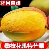 主图