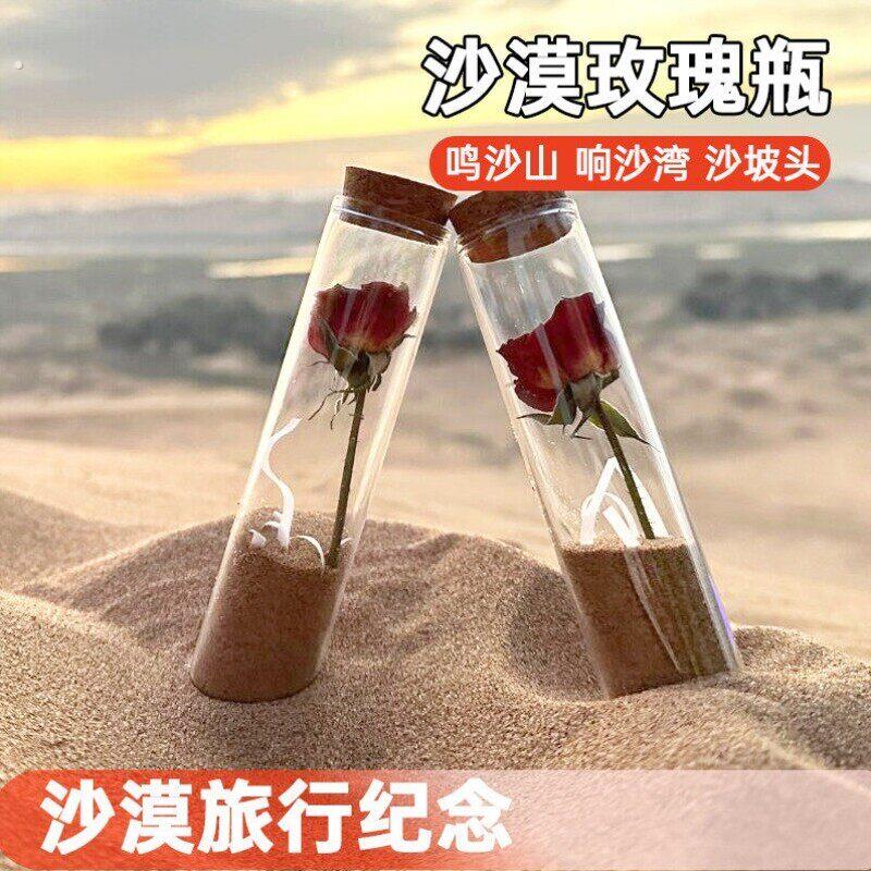 沙漠玫瑰小王子装沙瓶青甘西北大环线收纳玻璃瓶小礼物旅游行纪念