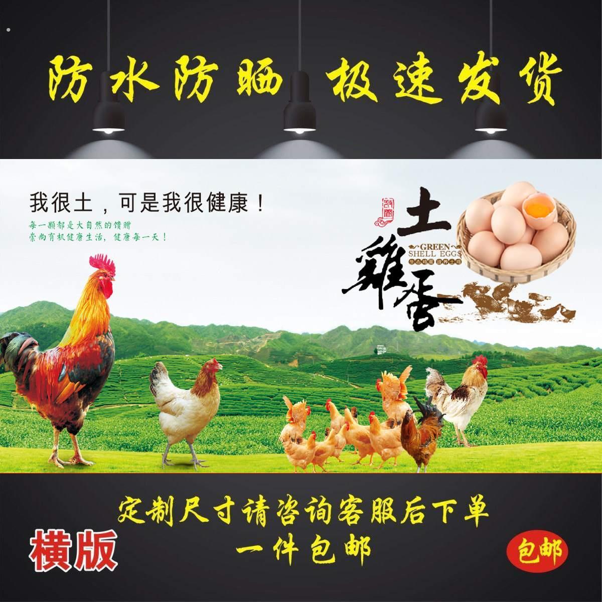 农家土鸡蛋散养贴纸小吃夜市摆摊贴招牌布防水防晒户外喷绘
