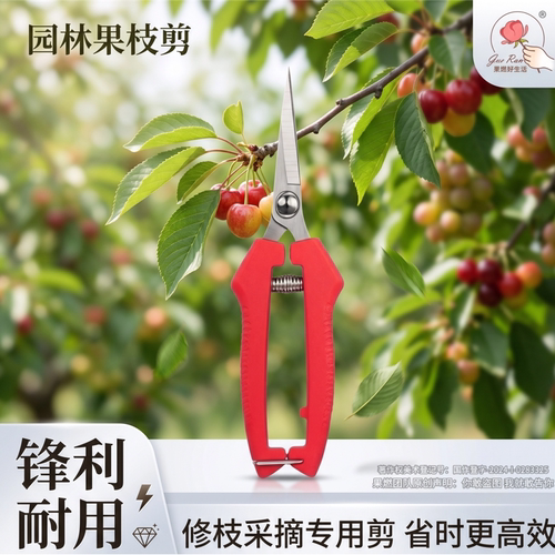 红果枝剪园艺剪刀合金防锈涂层高硬度锋利家用果园树枝剪枝工具