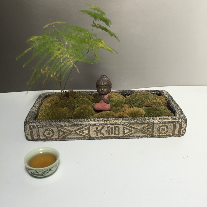 新款盆景多肉金钱菖蒲花盆无孔水培台面家居摆设复古汉砖盆
