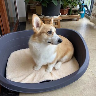 塑料狗窝四季通用柯基博美专用产床耐咬可拆洗豪华咬不烂大号狗床