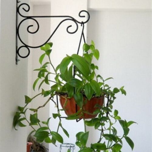 欧式壁挂花架客厅绿萝铁艺挂钩室内阳台吊兰支架花架挂式挂架