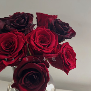 进口干花高端永生花束客厅摆设真玫瑰高端餐桌装饰摆件高级感花瓶