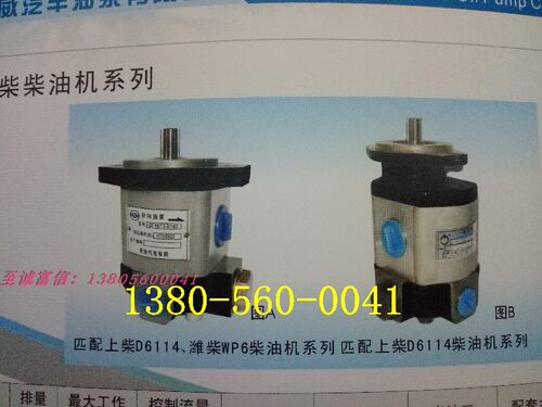 起重机 转向助力泵 QC18/13-D14TA 合肥力威汽车油泵