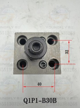 齐齐哈尔 瓦房店 芜湖C5112立车Q1P1-B16B Q1P1-B30B调压阀溢流阀