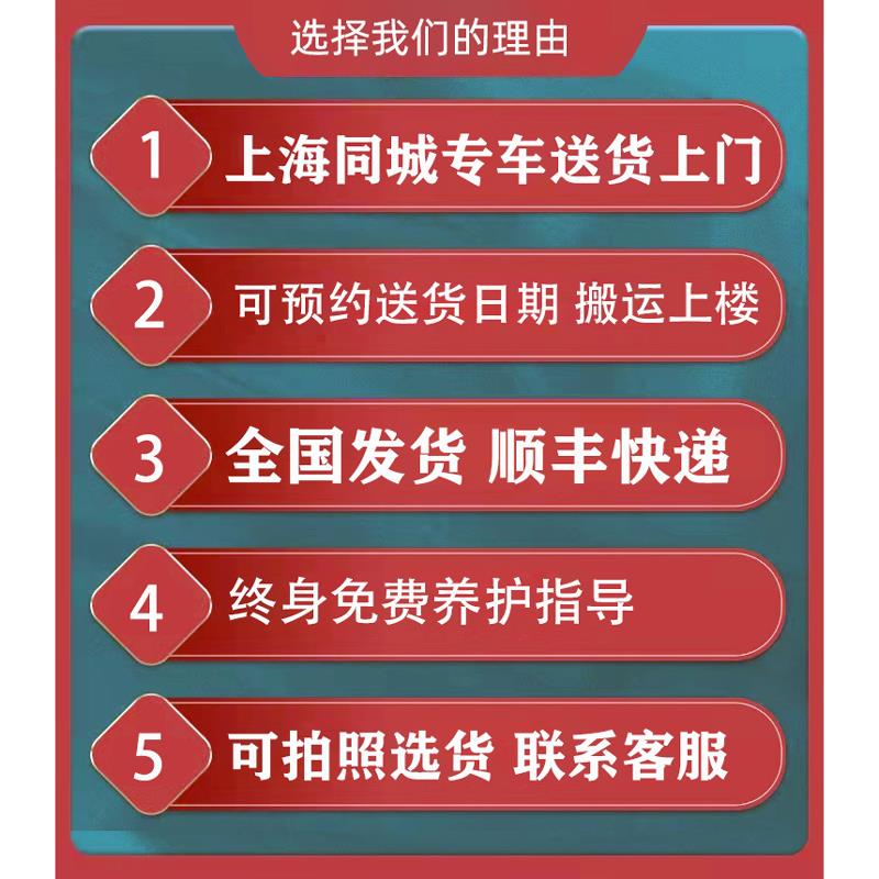 美人铁荷花铁四季常青造型绿植室内盆栽耐阴植物居家好养易活