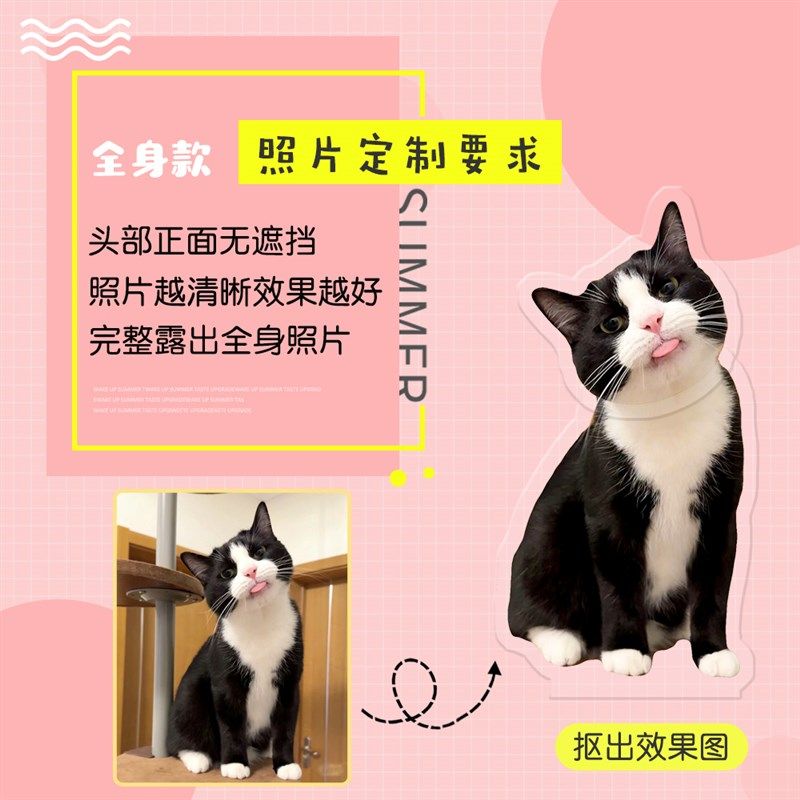 定制自动摇头猫咪摆件宠物狗狗小猫照片头像定做桌面压克力摇摇乐,家居饰品,桌面摆件,淘宝优惠券,粉丝福利购,淘宝优惠卷