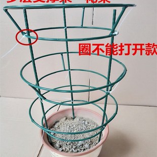 蟹爪兰仙人掌嫁接球兰花架支架攀爬园艺固定架支撑架高100组装