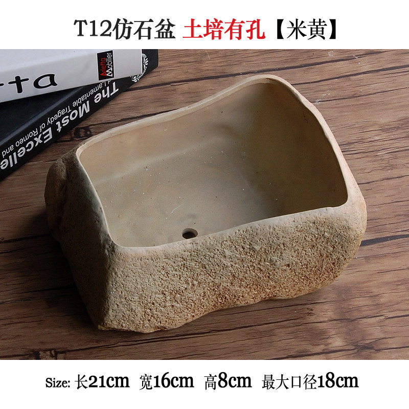 多肉植物花盆陶瓷水培花盆养鱼缸无孔绿植铜钱草绿萝碗莲花盆大号