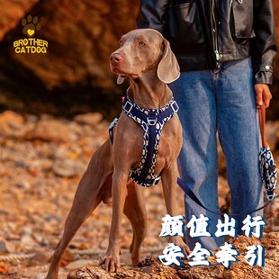 猫兄狗弟新款背心式狗狗胸背带可提拉防挣脱柯基金毛拉布拉多