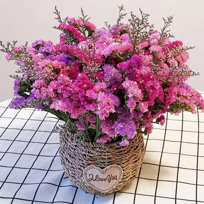 天然云南勿忘我干燥花满天星真花花束清新装饰鲜花摆件客厅插花摆