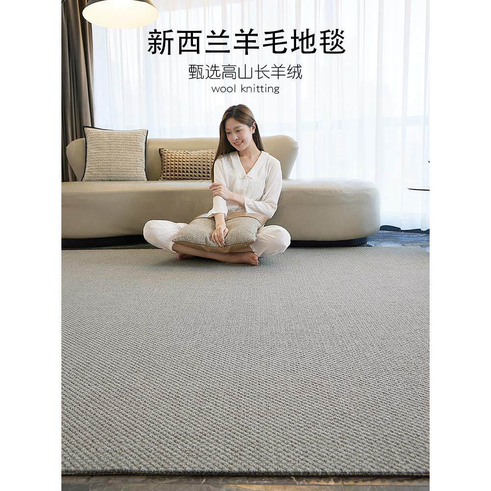 新西兰进口羊毛地毯家用法式轻奢高级感百搭客厅沙发地毯满铺定制