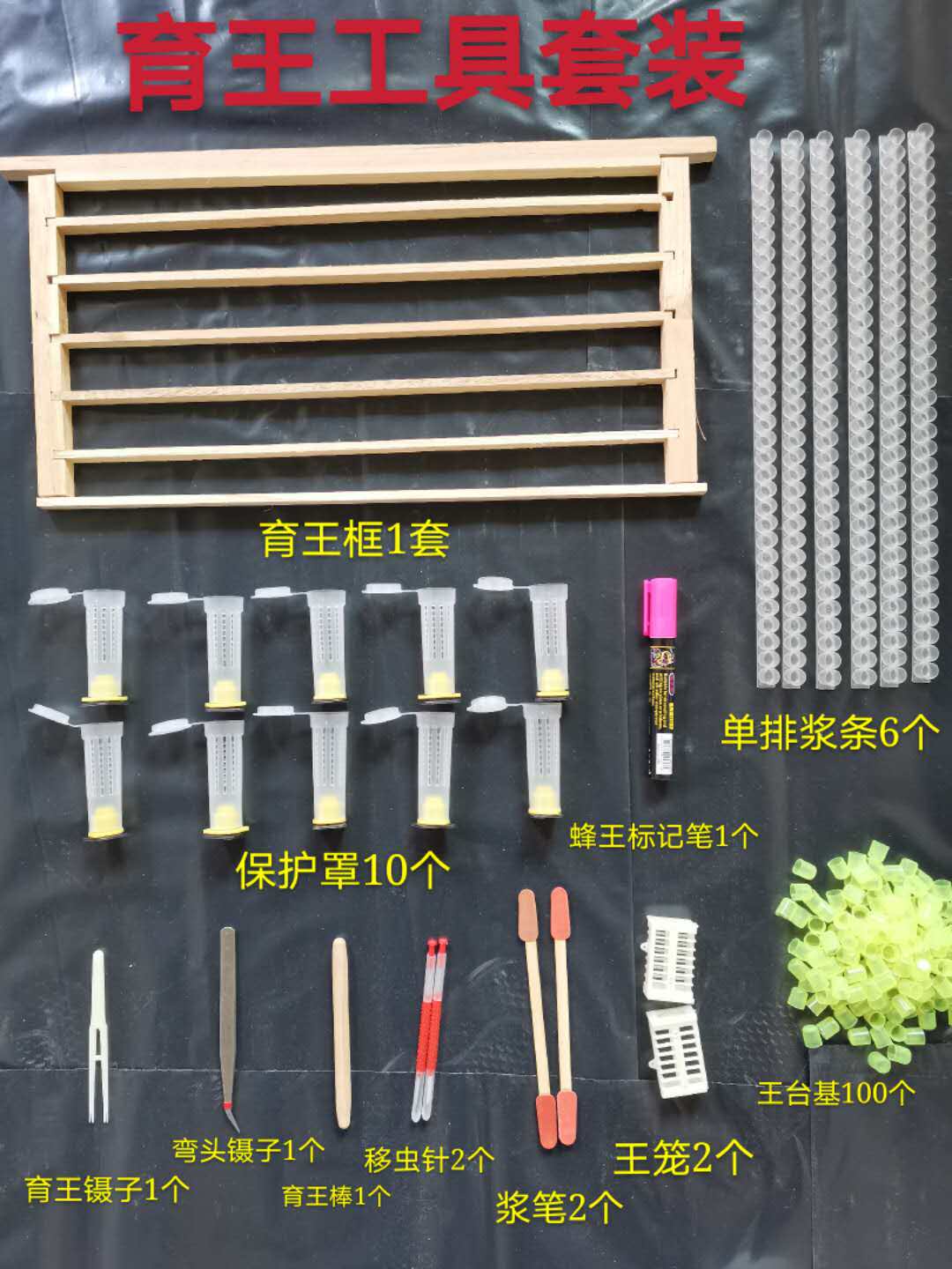 蜜蜂育王工具全套免移虫针蜂王中蜂育王框育王棒育王器育王台基