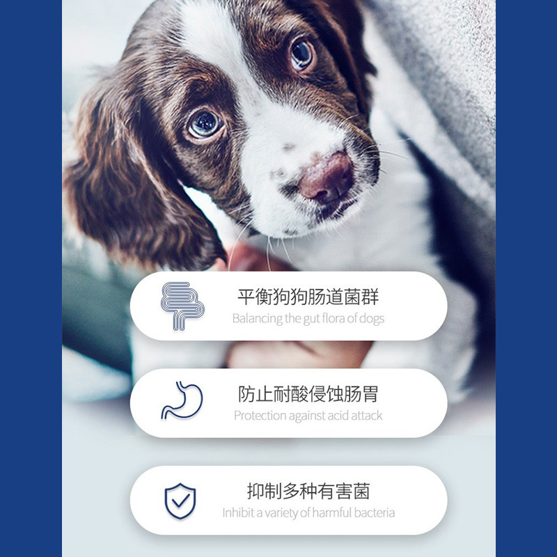 谷登羊奶粉犬猫用宠物猫咪幼犬狗哺乳期猫产后成犬老年犬营养补钙,宠物/宠物食品及用品,狗奶粉,淘宝优惠券,粉丝福利购,淘宝优惠卷