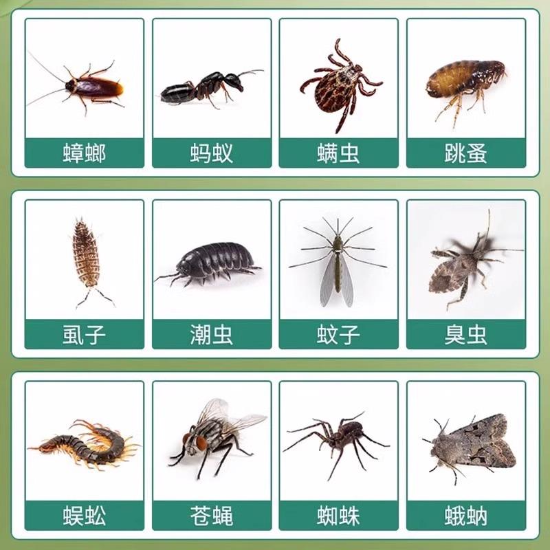 驱蚊神器室内非无毒户外2025新款强效驱蚊子防蚊虫香茅凝胶香薰膏
