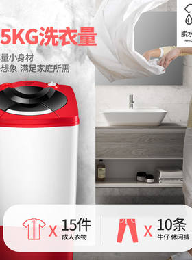 脱水机甩干机单桶家用不锈钢大容量蔬菜甩水桶干衣机非迷你洗衣机