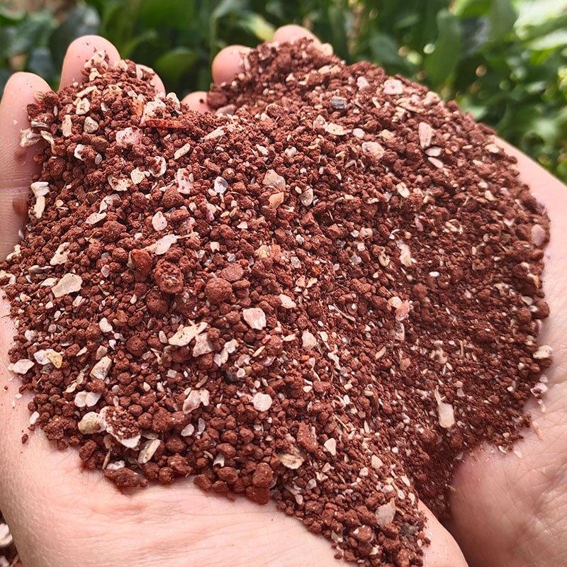 高钙营养红土保健砂鹦鹉专用补钙保健沙信鸽饲料鸽粮鸽子食粮5斤,宠物/宠物食品及用品,鸟食,淘宝优惠券,粉丝福利购,淘宝优惠卷