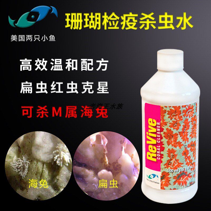 两只小鱼海缸珊瑚检疫杀虫水有效针对扁虫海兔红虫等火柴珊瑚虫害