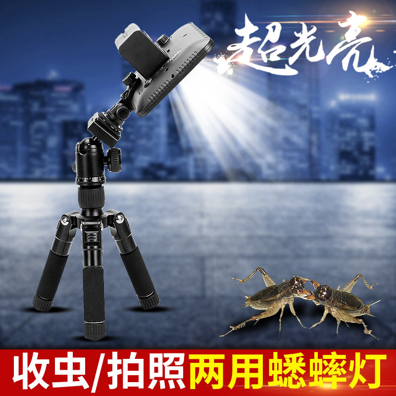 蟋蟀补光灯蛐蛐拍照补光LED灯两用夜市收虫看虫网售鸣虫用品用具