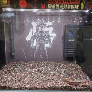 青红色雨林沙鱼缸底砂雷龙发色造景底沙青灰粗砂棕黑偏暗棕黑颗粒