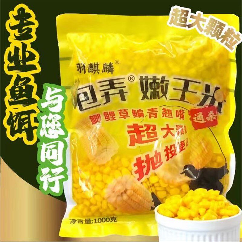 羽麒麟嫩玉米底窝料粒打窝快黑坑湖库青鲤草鳊鱼配包弄玉米药酒