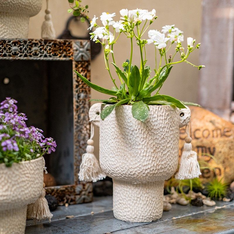 创意花盆个性流苏装饰花器阳台蝴蝶兰绿萝兰花多肉设计感摆件花盆,鲜花速递/花卉仿真/绿植园艺,花盆,淘宝优惠券,粉丝福利购,淘宝优惠卷