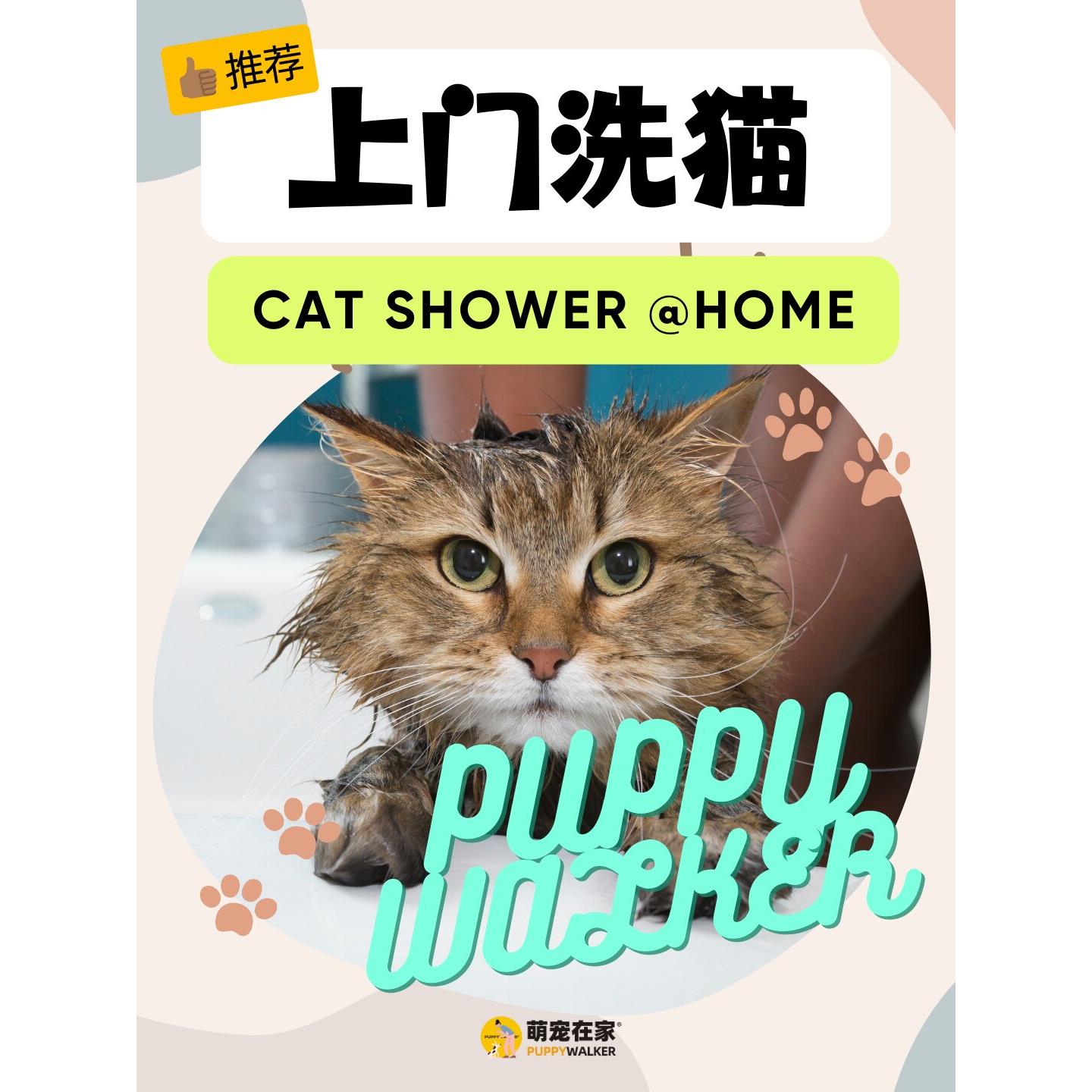 上门洗猫|广州武汉多城市|萌宠在家|宠物上门洗护洗澡深层清洁