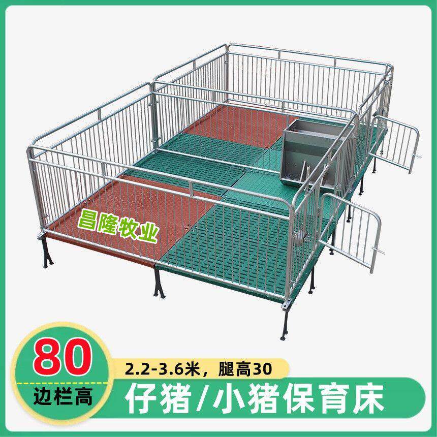 仔猪保育床 小猪保育床 单双体全复合保育床(母猪产床 定位栏