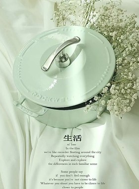 德国212325黄绿铸铁珐琅经典炖锅煲汤电磁炉燃气通用搪瓷多用