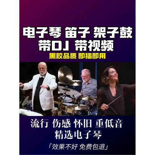 青玉纯音乐数字键盘鼓集重低音Dj无损Tf卡Cd闪存驱动器
