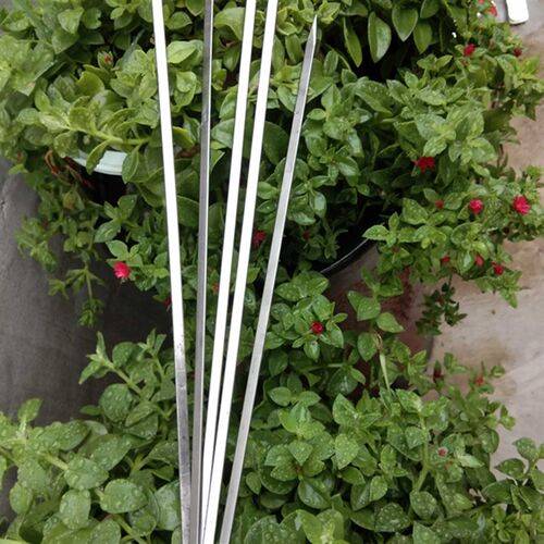 50cm长大号不锈钢烧烤签子扁签大串烤肉钢铁签子烧烤工用具钢铁签