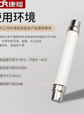 高压高分断限流熔断器XRNT1-10KV陶瓷保险管fuse熔断保险丝熔管