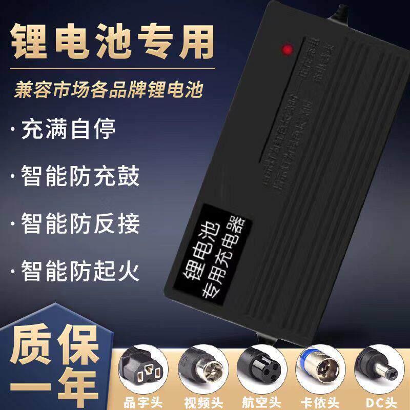 适用 蜂鸟锂电池电动车充电器24V36V48V10A42V2A54.6V3A60v锂离子