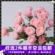 朱丽叶塔玫瑰鲜花多头云南昆明斗南鲜花直发花苞新鲜家用水养粉色
