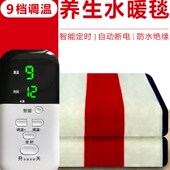 水暖电热毯智能单双人双控家用安全无辐射防水除湿加厚电褥子