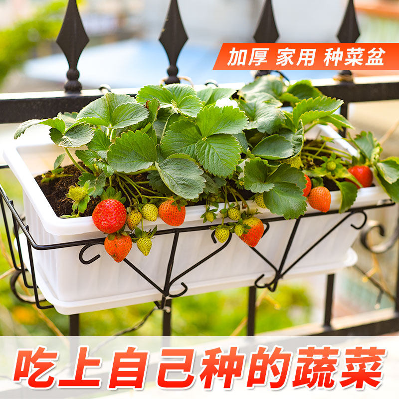 加厚家用种菜盆阳台蔬菜种植箱室内特大号长方形花槽养花塑料花盆,鲜花速递/花卉仿真/绿植园艺,花盆,淘宝优惠券,粉丝福利购,淘宝优惠卷