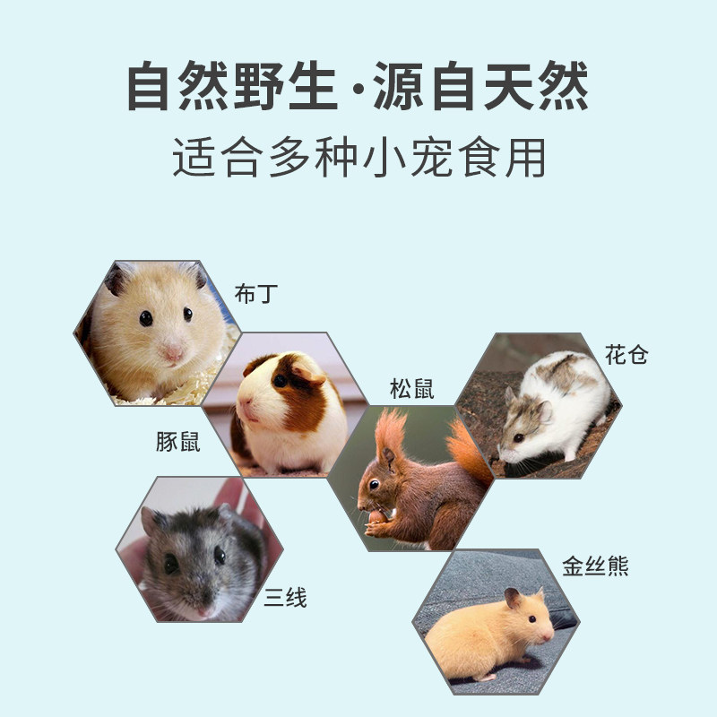 南极磷虾干 仓鼠粮食刺猬食物小龟粮宠物饲料用品主粮 虾干补钙,宠物/宠物食品及用品,鼠粮,淘宝优惠券,粉丝福利购,淘宝优惠卷