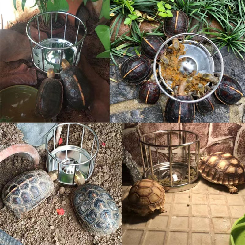 304不锈钢 乌龟喂食器乌龟苗喂食台陆龟食盆半水龟陆龟黄缘喝水盆,宠物/宠物食品及用品,爬宠缸/箱,淘宝优惠券,粉丝福利购,淘宝优惠卷