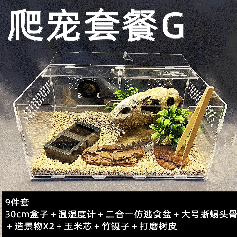 活体爬宠爬虫昆虫蜘蛛躲避饲养箱盒宠物豹纹守宫雨林蝎亚克力套装