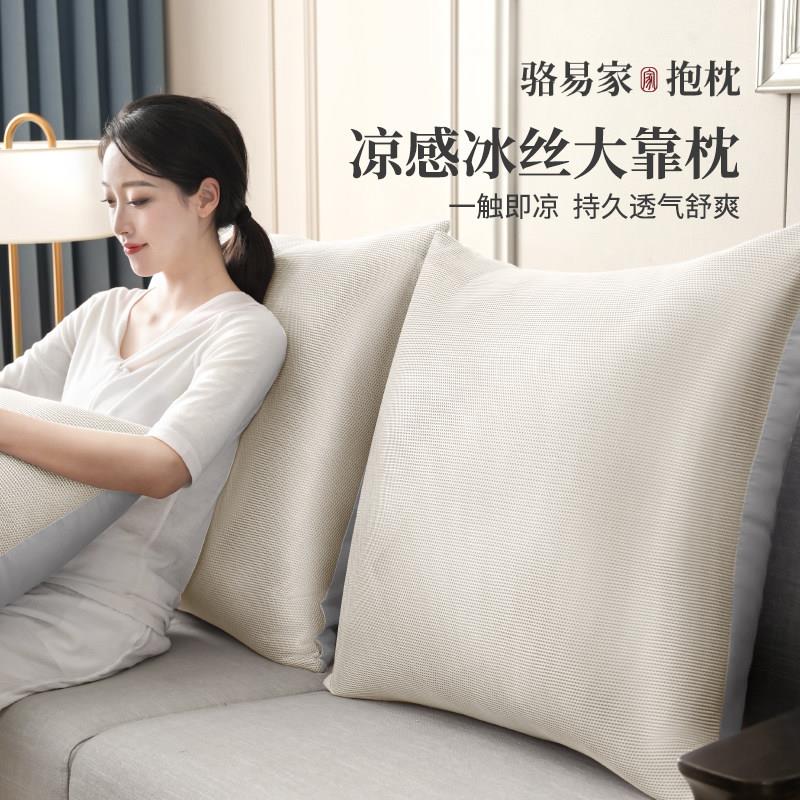 骆易家夏季冰丝大靠枕2026新款沙发抱枕套客厅靠背垫纯色抱枕靠垫