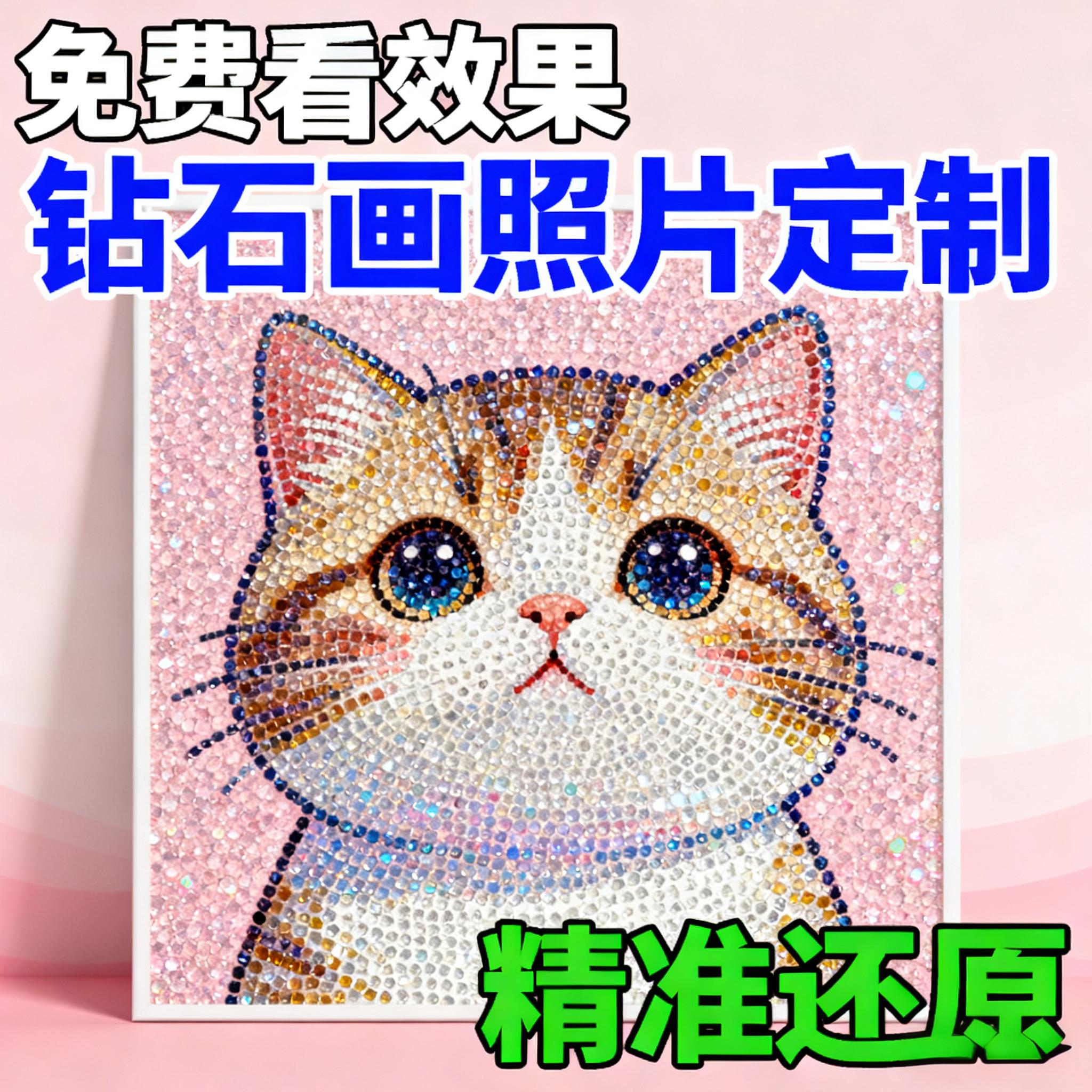 萌宠人物钻石画任意照片定制DIY自己贴满钻闪耀钻石装饰画