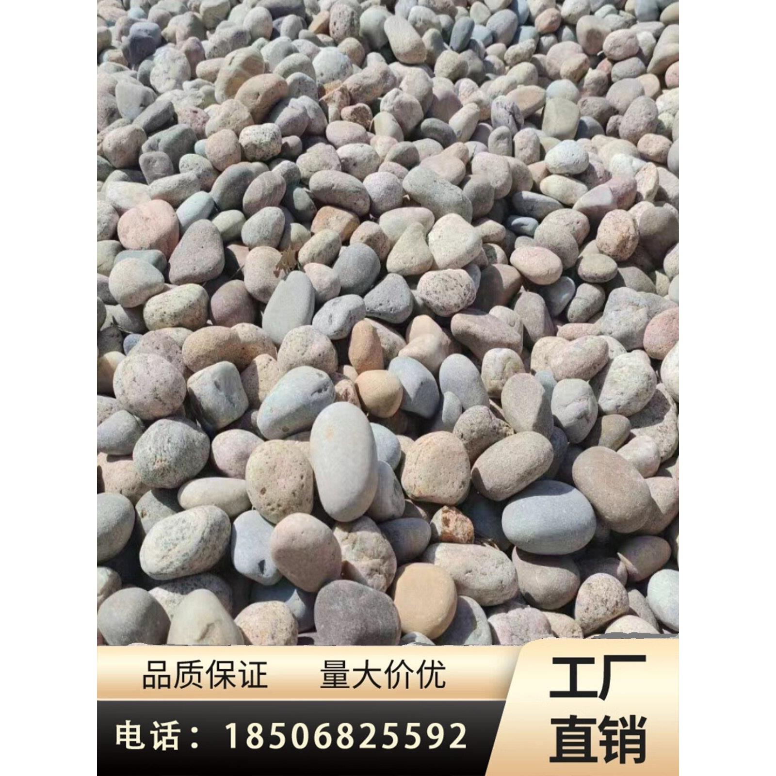 天然河卵石变压器水处理5-8cm卵石鱼塘花园公园铺装景观石