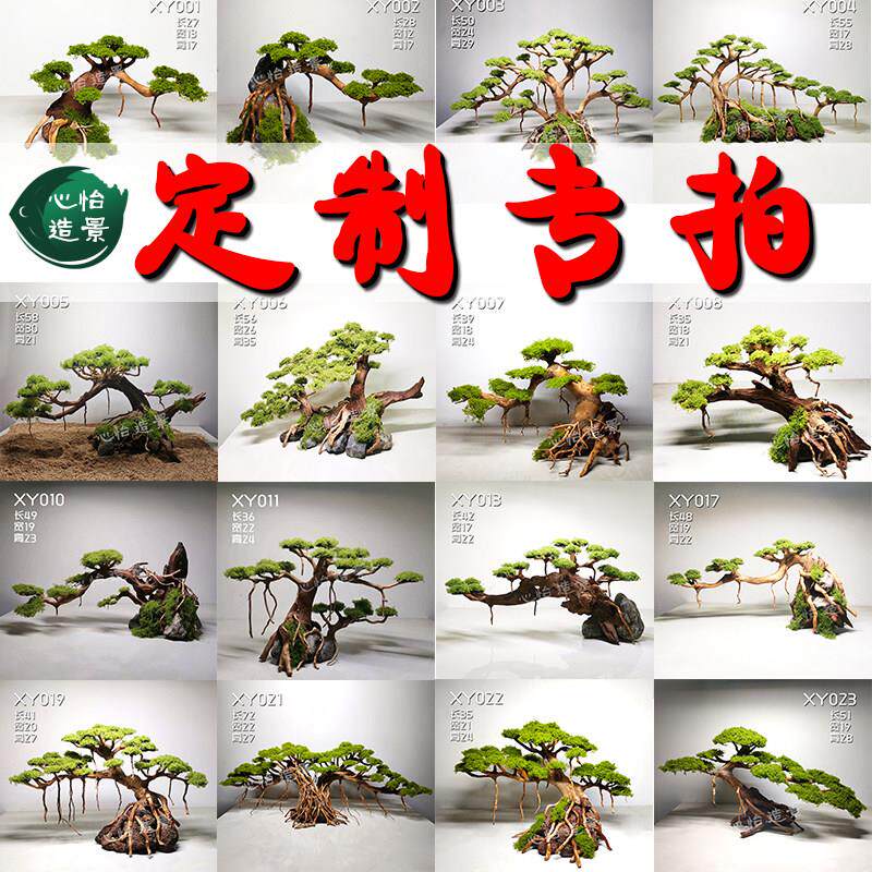 莫斯树定制专拍成品水草树鱼缸造景沉木树水族箱造景看图选树形