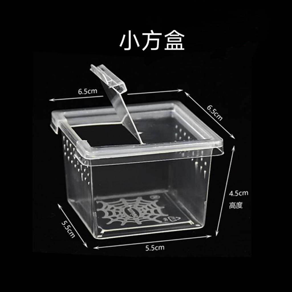爬虫饲养盒小方盒YC树爬虫爬宠饲养箱捕鸟蛛蝎子蜥蜴乌龟掌上名蛛